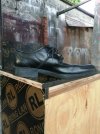 IMG_20220118_174526.jpg