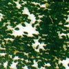 black Cumin seed1.jpg