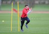 gun__1271164563_vanpersie_train2.jpg