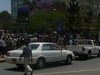 P1100637.JPG