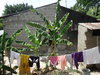 DSC02144.JPG