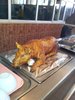 20130324_114203.jpg