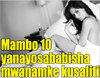 MAMBO10.jpg