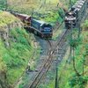 TREN.jpg