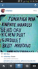 Screenshot_2014-02-11-22-18-31.png