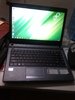 acer2.jpg