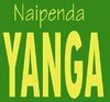 Yanga.jpg