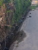 20160608_174630.jpg