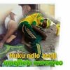IMG-20170107-WA0001.jpg