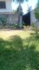 IMG_20170917_120124_1.jpg