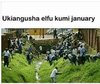 IMG-20180103-WA0008.jpg