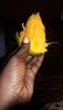 20181204_150629.jpeg