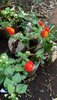 IMG-20190608-WA0063.jpg