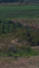 Screenshot_2019-06-27-05-21-38.png