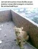 FB_IMG_15887405012340754.jpg