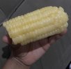 58139F56-E284-443D-8852-AFD071E00EBE.jpeg