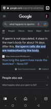 Screenshot_20230413-153730.png