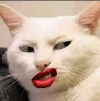 689219.png