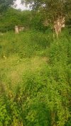 20240114_165008.jpg