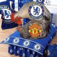costa manji
