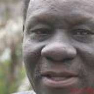 Bado Niponipo
