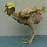 NSENENE KATIKOMILE