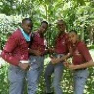 Alfred swai