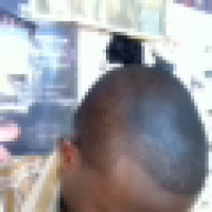 boblondo
