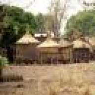 Mudimi Hwilangiboli