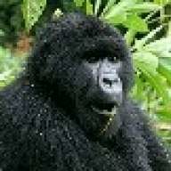Kijuram