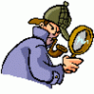 The observer