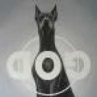 DOGofGOD