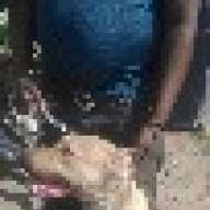 mwakitebe
