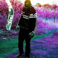 muddy lipemba
