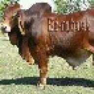mnang'umba