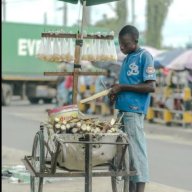 Mshamba wa kusini