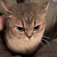 himiri