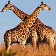 SIRMWIJUMBE