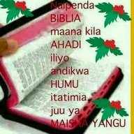 intelligent mind