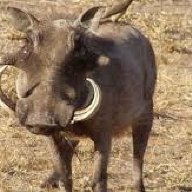 nchwebe milinga