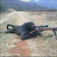 Simba wa Arusha