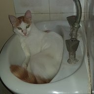 mpembaorijino