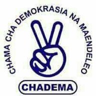 mpiga dili mzoefu