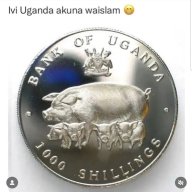 Minja Ngalason