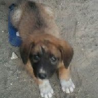 unbeby