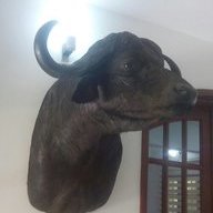 kwinyo