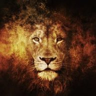 pantaleo g