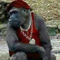kaburi wazimu