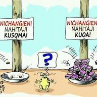 jipu bichi