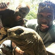 wakaexperience